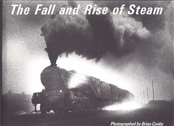 Image for THE FALL AND RISE OF STEAM.