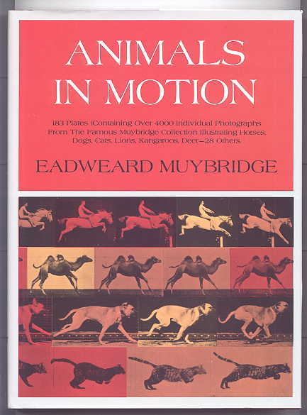 Image for ANIMALS IN MOTION.