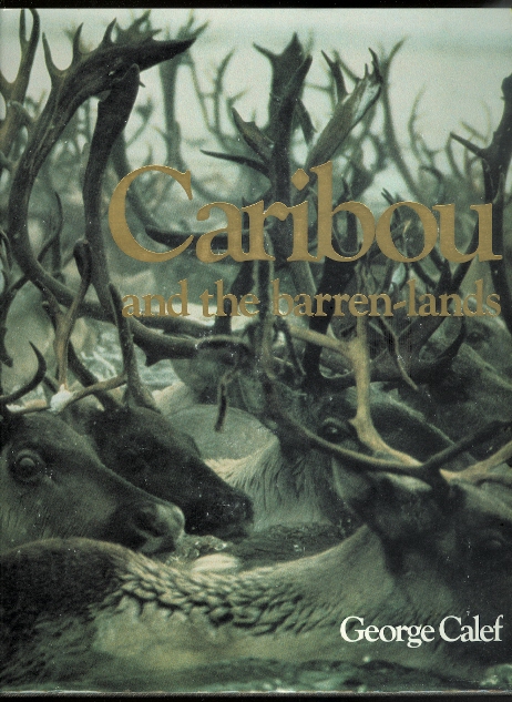 Image for CARIBOU AND THE BARREN-LANDS.