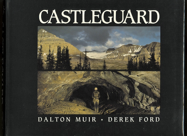 Image for CASTLEGUARD.