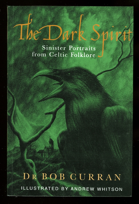 Image for THE DARK SPIRIT:  SINISTER PORTRAITS FROM CELTIC HISTORY.