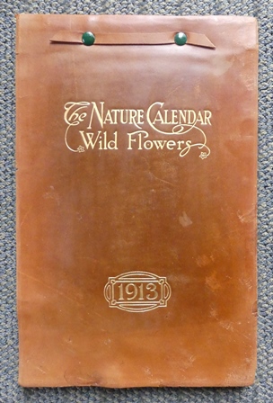 Image for THE NATURE CALENDAR - WILD FLOWERS.  1913.