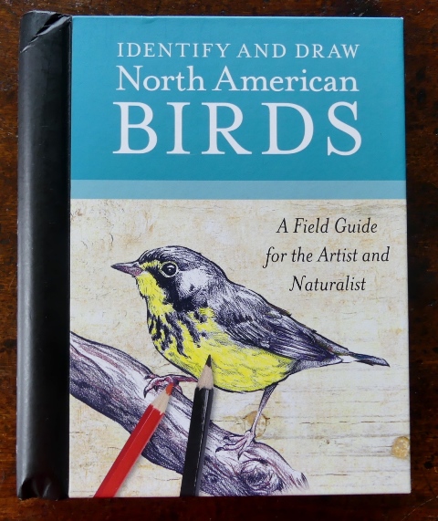 Image for IDENTIFY AND DRAW NORTH AMERICAN BIRDS:  A FIELD GUIDE FOR THE ARTIST AND NATURALIST.